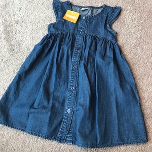 NWT Gymboree CHAMBRAY FLUTTER SLEEVE DRESS